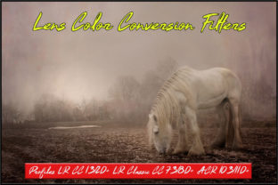 Mastering Light: Lens Color Conversion Filters Profiles